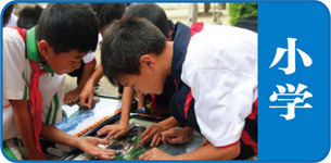 ��ʦһ��һ����,��Сѧ����,Сѧ�����ڸ���,���������ڸ���,���������ڸ���,һ��һ��ѧ,�Ͼ���У��ʦ����,��ѧ����,���ĸ���,Ӣ�︨��,���ĸ���,Сѧ�����Ŀ������,���ĸ߷���ѵ,Ӣ,���⸨��,һ��һ�ҽ�,������߳ɼ�,������,����У,�Ͼ�Ȩ�����⸨��,��Сѧ������ѵ��,СѧӢ�︨����,�Ͼ�Сѧ��ѵ����,��Сѧ����,Сѧ��ѧ����,Сѧ���ĸ���,Сѧ����